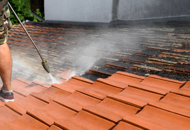 Best Power Washing Near Me  in Mount Vernon, WA