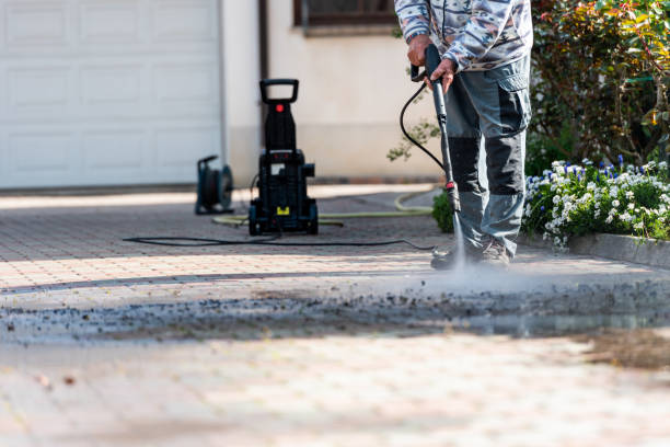 Best Exterior Home Cleaning  in Mount Vernon, WA