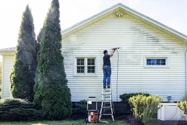 Best Pressure Washing Driveway  in Mount Vernon, WA