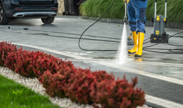 Best Pressure Washing Services Near Me  in Mount Vernon, WA