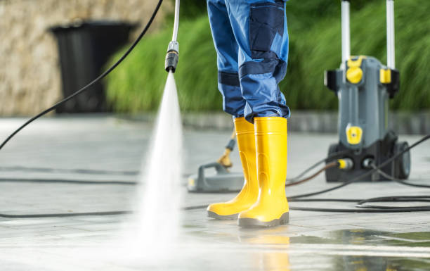 Best Roof Pressure Washing  in Mount Vernon, WA
