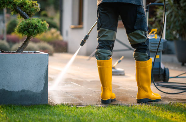 Pressure Washing Services for Businesses in Mount Vernon, WA